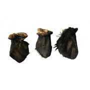 Oreja de buey CON pelo